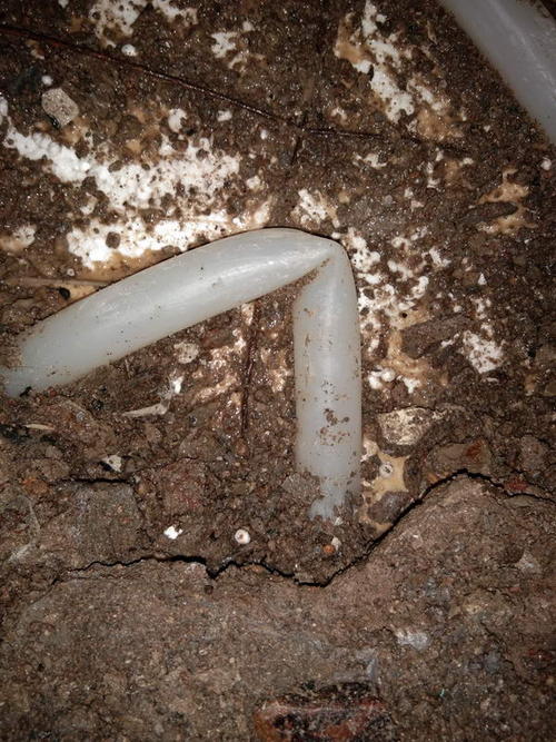 若羌堵点精准查找